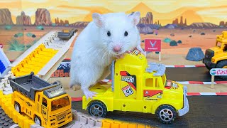 Hamster in Car Maze Stories  Hamster Escape Maze for Pet in Real Life [upl. by Magee]