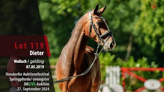 Auktionsfestival Lot 119 Dieter Wallach v Dallas VDL  Last Liberty [upl. by Lissa904]