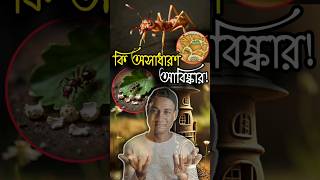 পিঁপড়া নিজের সংগ্রহ করা শস্যবীজ কেন অর্ধেক করে ভেঙ্গে ফেলা scientist research ants shorts [upl. by Ahsenod]