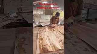 The labourer is making a plywood Very nice [upl. by Wilfreda652]