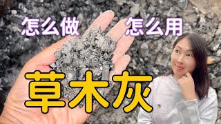 【种植78】最好钾肥草木灰怎么做 怎么用 烧烤碳灰能当草木灰用吗？How to make and use woodash Does BBQ charcoal ash can be used [upl. by Anerhs]