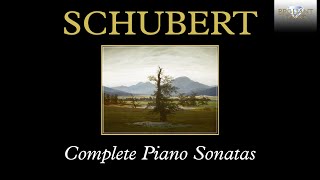 Schubert Complete Piano Sonatas [upl. by Bidle486]