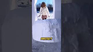 Girl Builds an Amazing Snow Palace for Survival shortsvideo [upl. by Cohdwell]