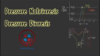 Pressure Natriuresis and Diuresis Basics and Regulation of Blood pressure MBBS NEET USMLE [upl. by Ennovehc]