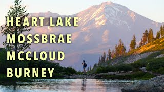 Mt Shasta California The ULTIMATE 3 Day Itinerary [upl. by Orgell59]