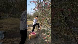 Salute To This Apple Man shortsvideo [upl. by Ursulina]