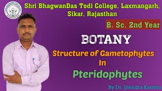 B Sc 2nd Year  Botany  Str of Gametophytes  Dr Jitendra Kantiya Shri BhagwanDas Todi College [upl. by Sirkin]