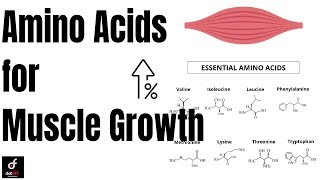 Amino Acids for Muscle Growth [upl. by Thorsten432]