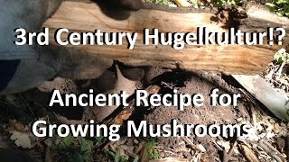 3rd Century Hugelkultur Ancient Recipe for Growing Mushrooms [upl. by Margery607]