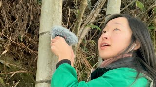 ASMR IN RURAL JAPAN🇯🇵🌿 [upl. by Intihw]