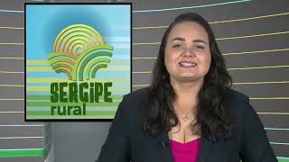 SERGIPE RURAL  PROGRAMA 466 [upl. by Roxie191]