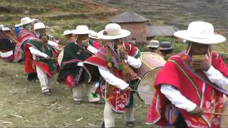 Sikuris  Central Huyu Huyu  Qala chuyma HDwmv [upl. by Nonnaihr480]