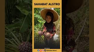 KURIR ANTAR PAKET DI PELOSOK DESA Tibatiba Dapat Rezeki Buah Nanas Dari Neneknenek Warga Setempat [upl. by Eulalie]