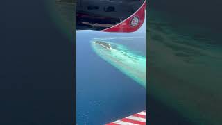 🌴 Ultimate Maldives Islands Tour  Discover Paradise 🌊✨ travel maldivian beach maldivesisland [upl. by Mcdermott]