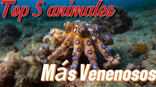 Top 5 animales más Venenosos peligrosos [upl. by Nyledam]