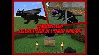 Comment faire éclore l oeuf de lender dragon [upl. by Notyard]