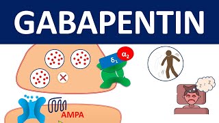 Gabapentin  Mechanism precautions amp side effects [upl. by Bendicty630]