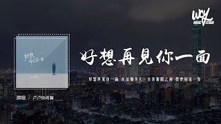 卢卢快闭嘴  好想再见你一面「好想再见你一面 在这个冬天，在你皱眉之前 我会站远一点」4k Video【動態歌詞pīn yīn gē cí】卢卢快闭嘴 好想再见你一面 動態歌詞 [upl. by Lewej]