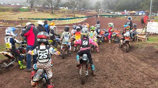 MY MOTOCROSS KIDS  RACING 65s TOOWOOMBA [upl. by Nwahsel]