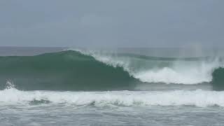 Rincon Surf Report Video  Nov 2 2020 Surfing Puerto Rico [upl. by Demodena657]