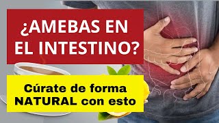 ¿SUFRES DE AMEBAS EN EL INTESTINO ¡CÚRATE DE FORMA NATURAL ameba [upl. by Kavita253]