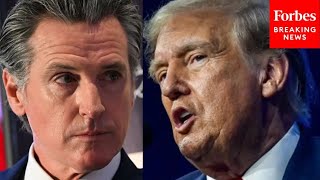 New Poll Reveals How Gavin Newsom Does HeadToHead Against Trump [upl. by Lorin107]