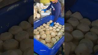 The Best Coconut Packaging Process in Thailand [upl. by Nayrda]