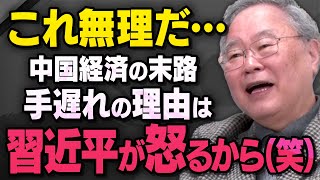 【中国株価の暴落】あの国の経済について髙橋洋一さんと上念司さんが話してくれました（虎ノ門ニュース切り抜き） [upl. by Kostman799]