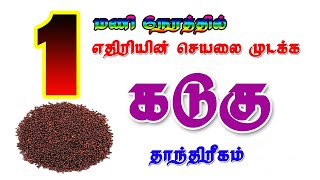 1மணி நேரத்தில் எதிரியின் செயலை முடக்க கடுகு தாந்திரீகம்  Spiritual World Manthrigam  எதிரி அழிய [upl. by Eirol]