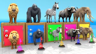 Mammoth Elephant Lion Gorilla Buffalo Guess The Right Key ESCAPE ROOM CHALLENGE Animals Cage Game [upl. by Nimsay]