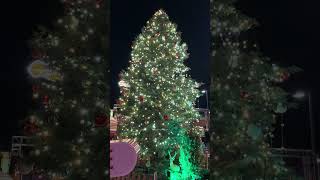 Christmas market in Germany 2024 weihnachtsmarkt deutschland shortvideo [upl. by Creedon]