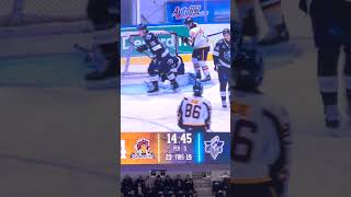 QMJHL  20241103  SHA GOAL  SHA 5 VS Rimouski 2 shorts qmjhl lhjmq oceanic [upl. by Korman]