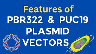 Features of pBR322 amp pUC 19 plasmid vectors  Cloning vectors  Biotechnology [upl. by Matelda]