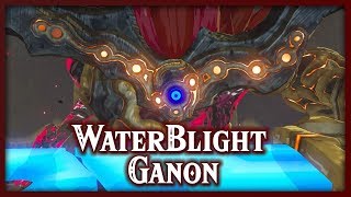 Champions Ballad WATERBLIGHT GANON Illusory Realm [upl. by Fretwell]