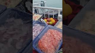 svalbard BBQ party every cruise [upl. by Ahsekahs]