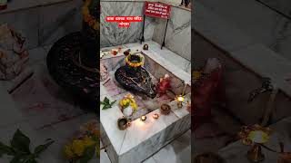 Om Jai Shiv Omkara  Lord Shiva Aarti शिवजी की आरती  ॐ जय शिव ओमकारा aarti shivaarti [upl. by Leonelle]