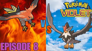 Which is the Better Bird  Pokémon Violet [upl. by Notniuq]