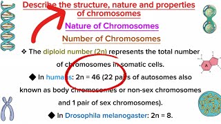 Learn The Structure Nature and Properties of Chromosomes in 5 Minutes [upl. by Aleen]