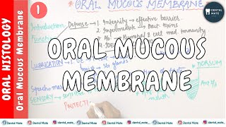 Oral Mucous Membrane  Functions of oral mucous membrane  OMM  Dr Paridhi Agrawal [upl. by Blaine]