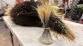 Plucking porky mountainmen porkie porcupines roaches [upl. by Ytsirk]