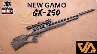 Gamo GX250 [upl. by Enimrac]