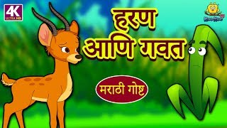 हरण आणि गवत  Marathi Ghosti  Marathi Story for Kids  Marathi Fairy Tales  Koo Koo TV Marathi [upl. by Jacobsohn]