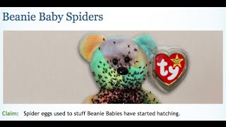 Beanie Babies Stuffed With Spiders True or False [upl. by Aeslek]