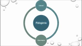 Gnathostoma spinigerum  GnathostomiasisGnatostomiasis [upl. by Mariandi194]