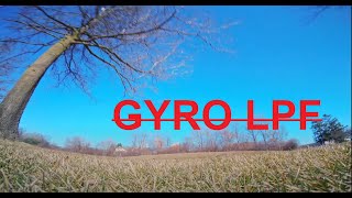 Gyro Lowpass Filter OUT  PerfectLanding IN [upl. by Coray]