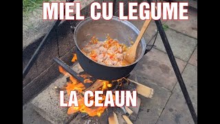 MIEL CU LEGUME LA CEAUN [upl. by Drazze]