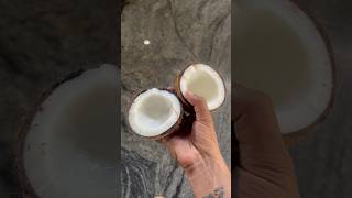 Making of pure coconut Oil shorts india coconutoil [upl. by Corette897]