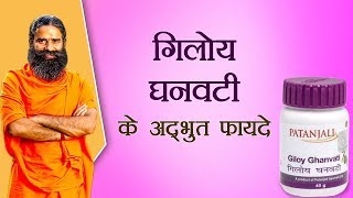 गिलोय घनवटी Giloy Vati के अद्भुत फायदे  Swami Ramdev [upl. by Stoat]