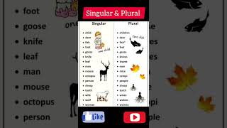 Daily English word Meaning  English Vocabulary  Native English short English speaking [upl. by Oiramaj]