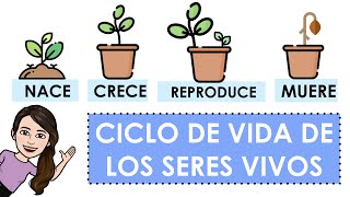 Ciclo de vida de los seres vivos con ejemplos [upl. by Nikola]